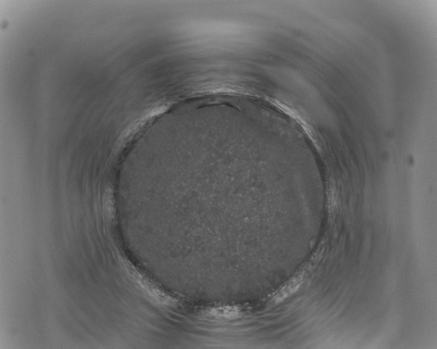 X0000076450353200610161317