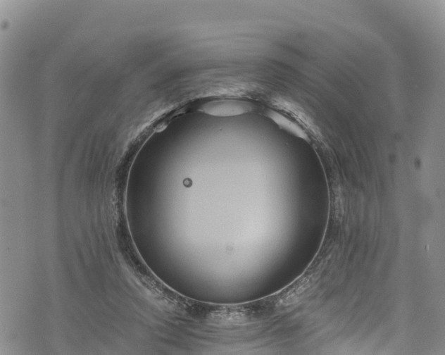 X0000076450354200610161317