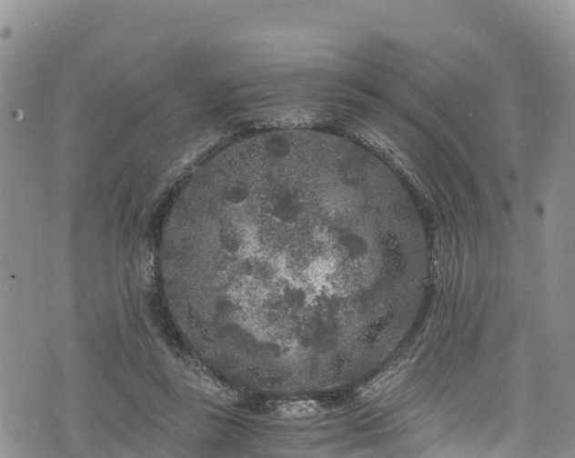 X0000076450355200610161317