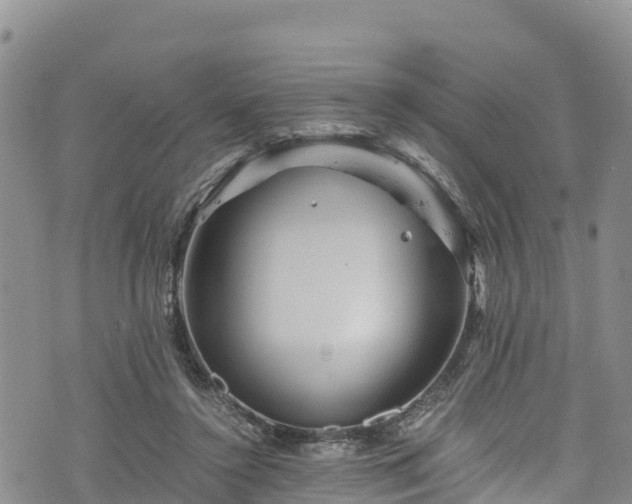 X0000076450356200610161317