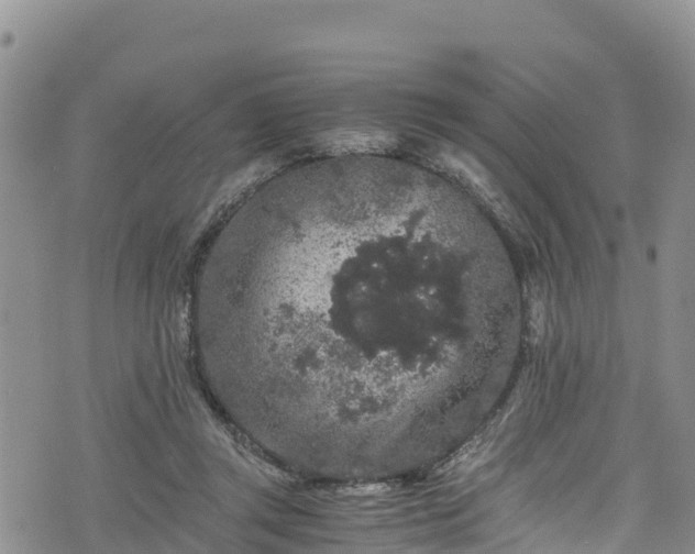 X0000076450357200610161317