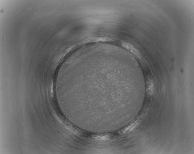 X0000076450358200610161317