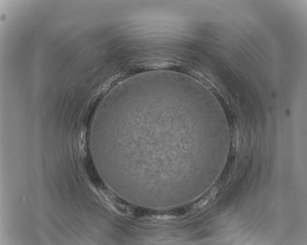 X0000076450360200610161317