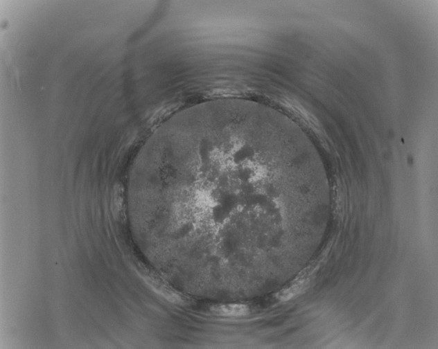 X0000076450361200610161317