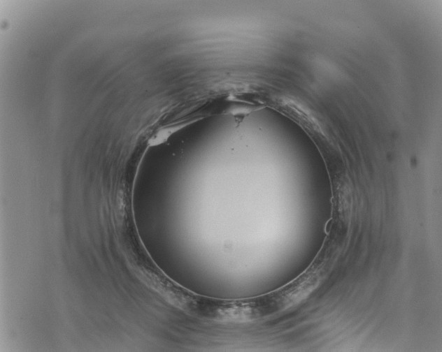 X0000076450362200610161317