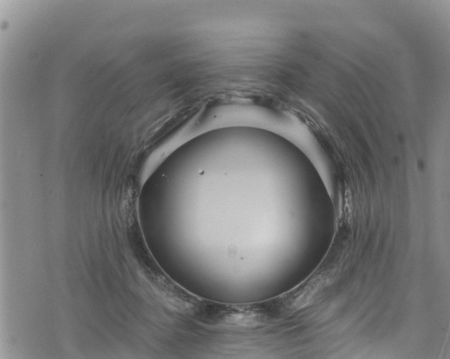 X0000076450364200610161317