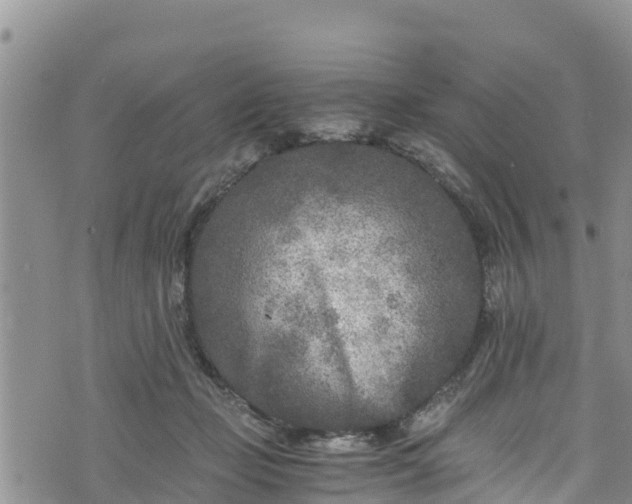 X0000076450365200610161317