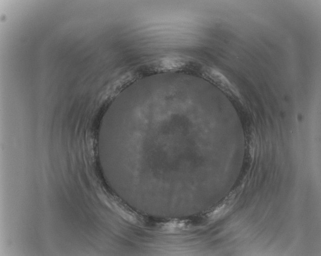 X0000076450366200610161317