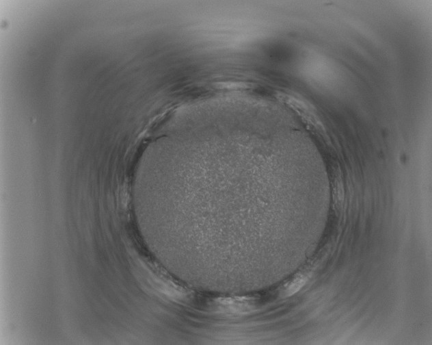 X0000076450367200610161317