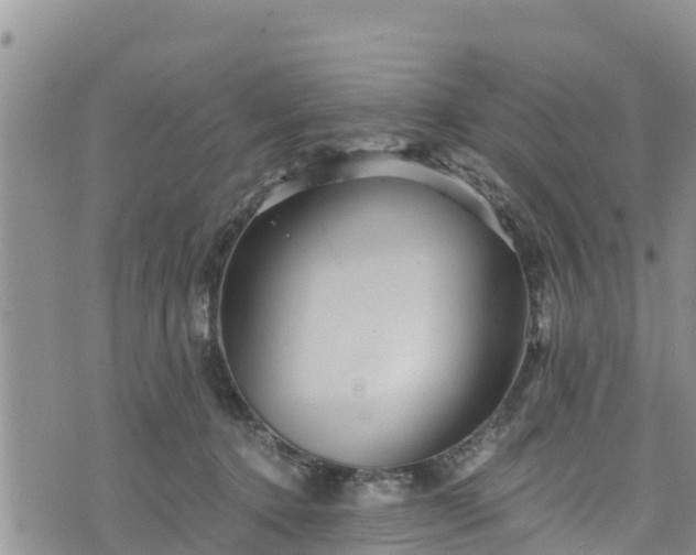 X0000076450368200610161317