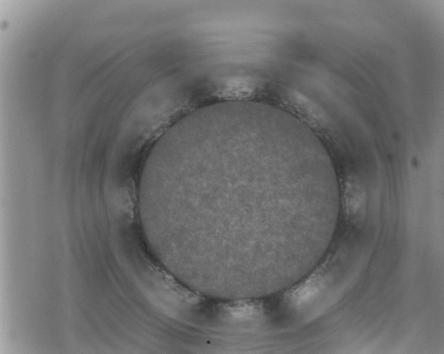 X0000076450370200610161317