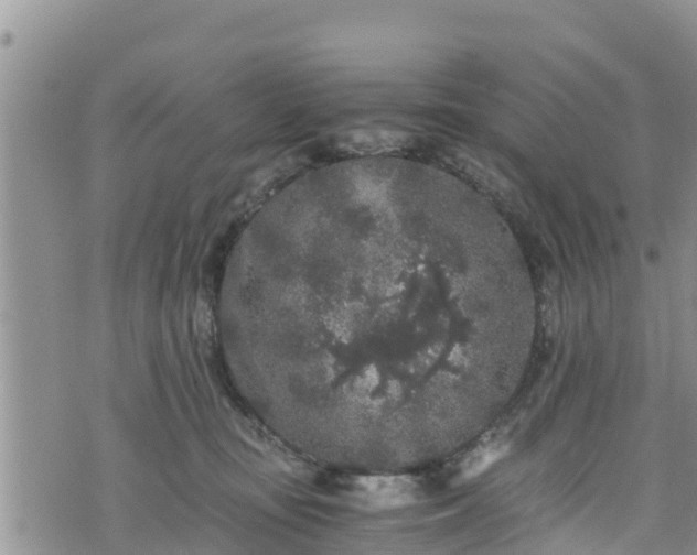 X0000076450371200610161317