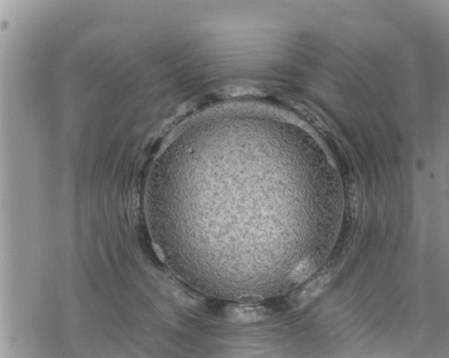 X0000076450372200610161317