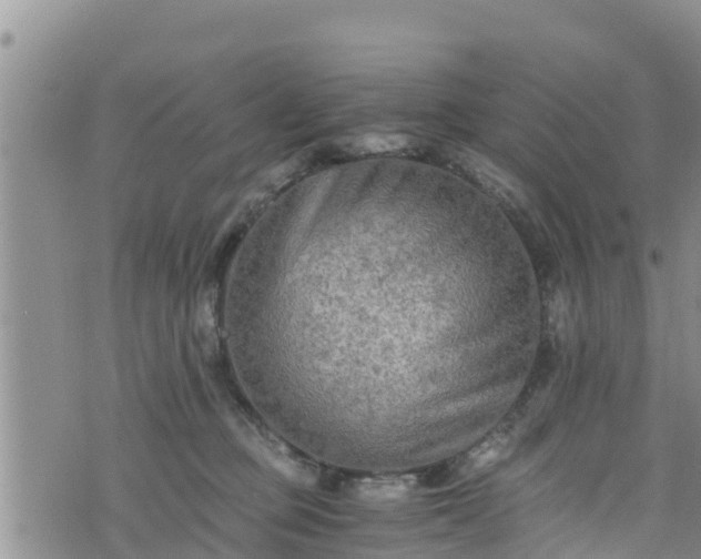 X0000076450373200610161317