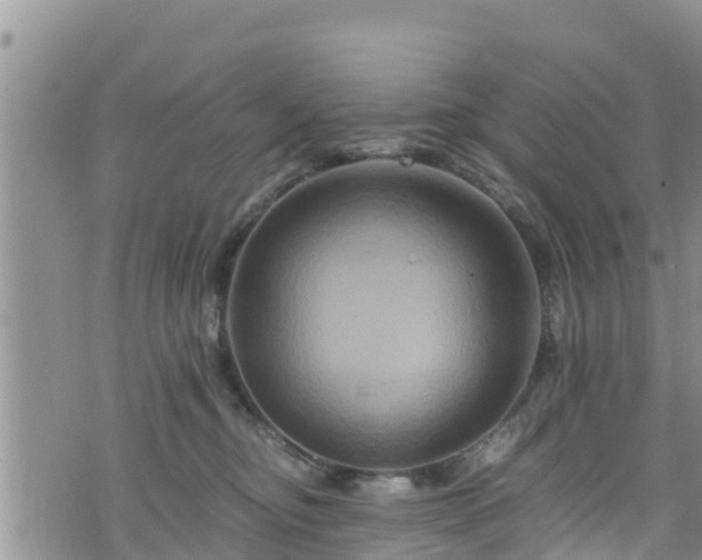 X0000076450374200610161317