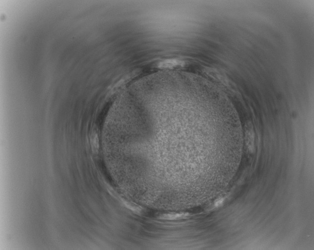 X0000076450375200610161317