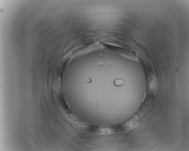 X0000076450376200610161317