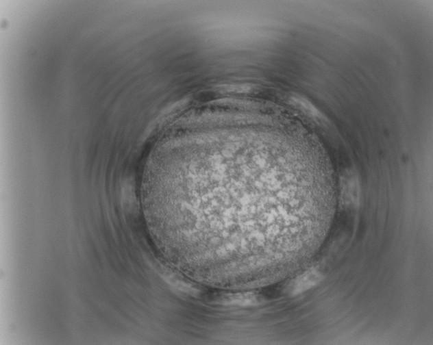 X0000076450377200610161317