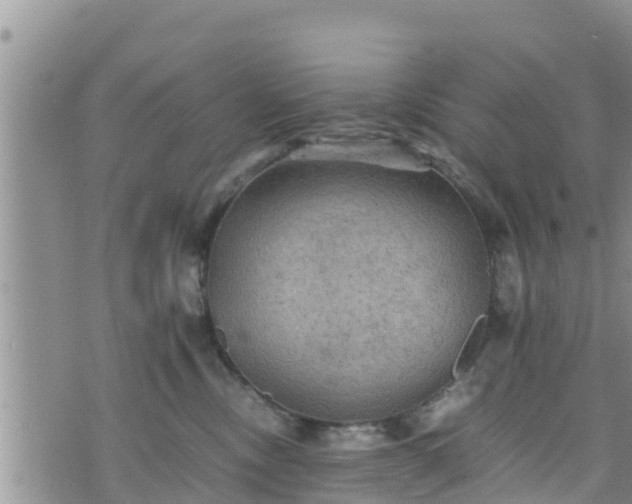 X0000076450378200610161317