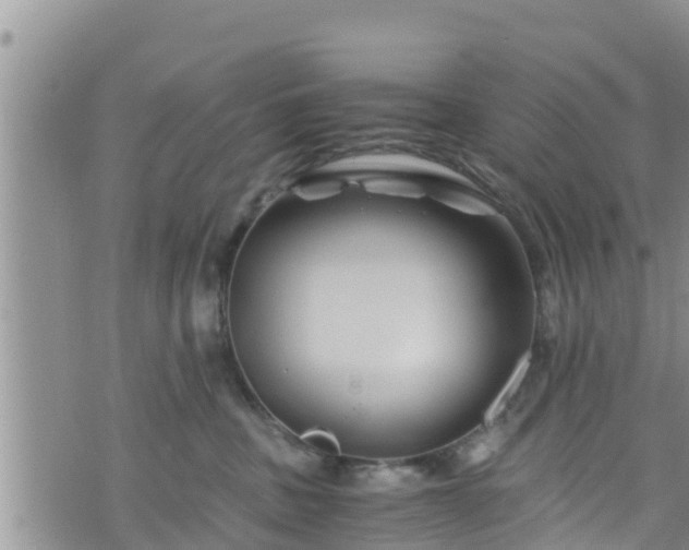 X0000076450379200610161318