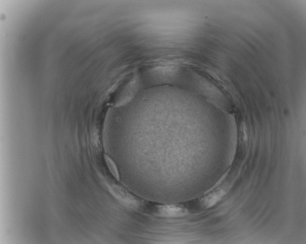 X0000076450380200610161318