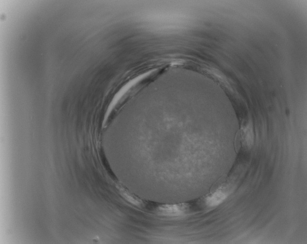 X0000076450381200610161318