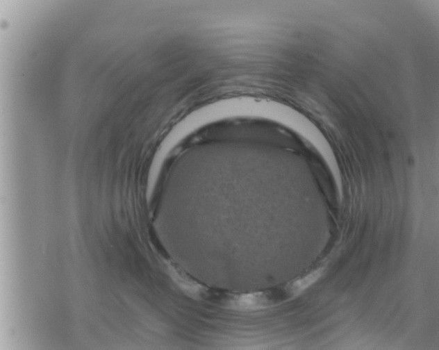 X0000076450382200610161318