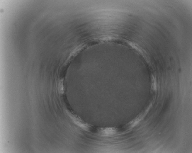 X0000076450383200610161318