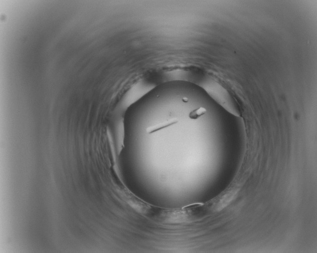 X0000076450384200610161318