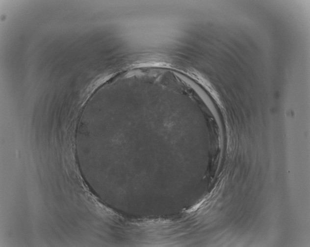 X0000076450385200610161317