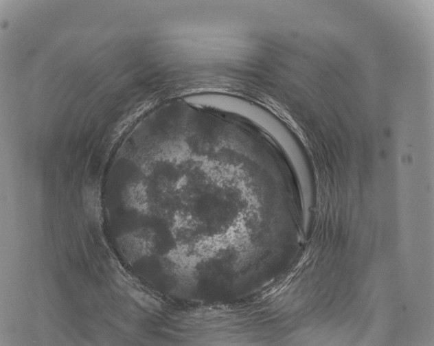 X0000076450386200610161317