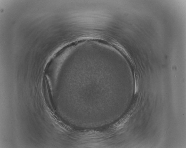 X0000076450387200610161317