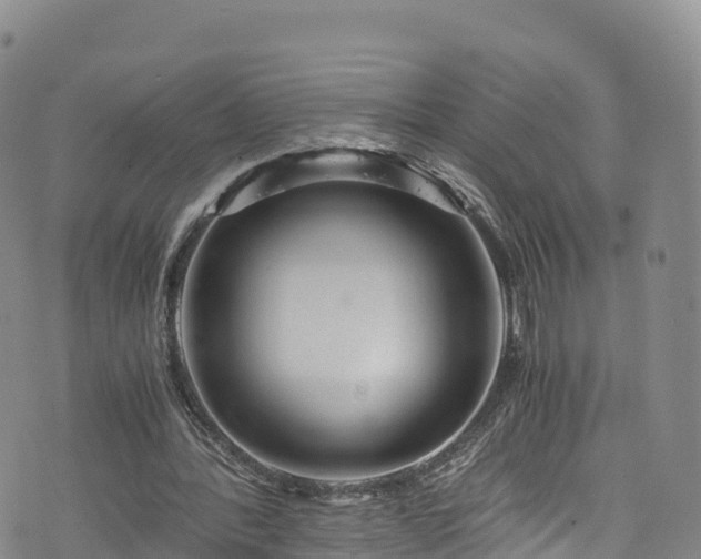 X0000076450388200610161317