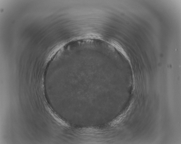 X0000076450389200610161317