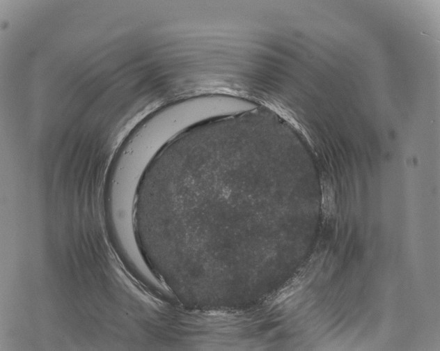 X0000076450390200610161317