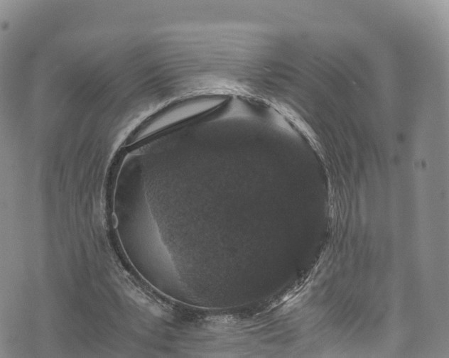 X0000076450391200610161317