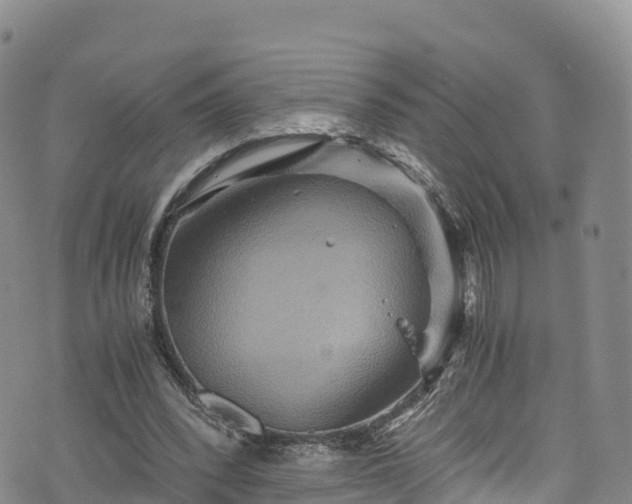 X0000076450392200610161317