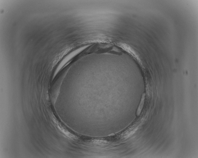 X0000076450393200610161317