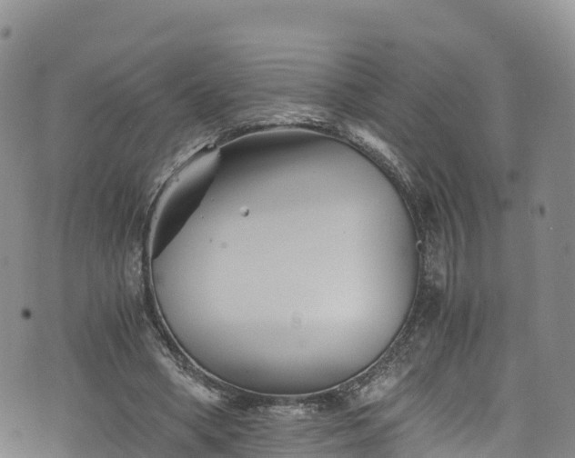 X0000076450394200610161317