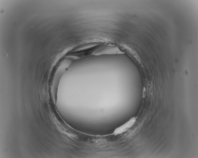 X0000076450395200610161317