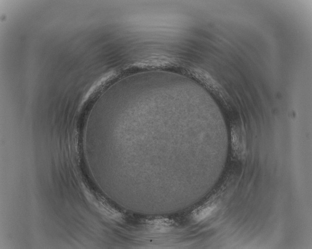 X0000076450396200610161317