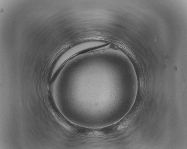 X0000076450397200610161317