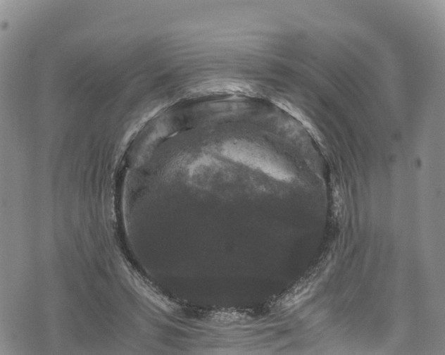 X0000076450399200610161317