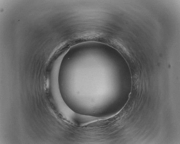 X0000076450400200610161317