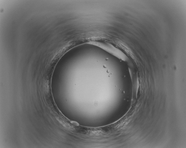 X0000076450401200610161317