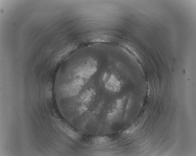 X0000076450402200610161317