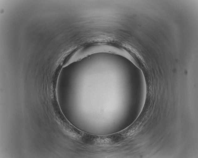 X0000076450403200610161317