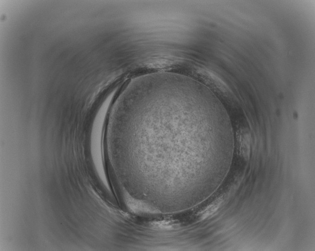 X0000076450404200610161317