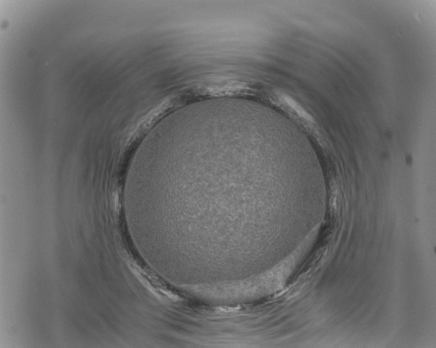 X0000076450405200610161316