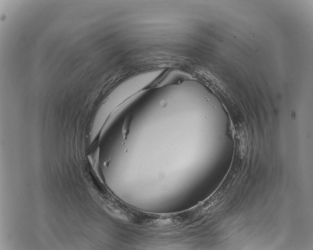 X0000076450406200610161316